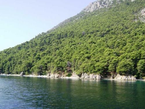 Kastos